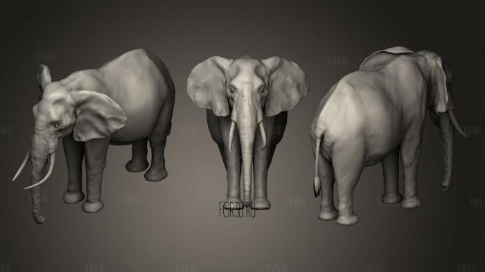 African elephant 2 stl model for CNC